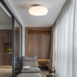 Friendly Pe Ceiling Pendant Lamp