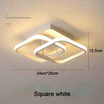 Creative Design Ceiling Lamp Indoor
