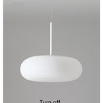 Friendly Pe Ceiling Pendant Lamp