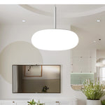 Friendly Pe Ceiling Pendant Lamp