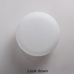 Friendly Pe Ceiling Pendant Lamp