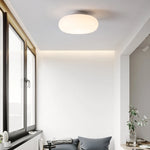 Friendly Pe Ceiling Pendant Lamp