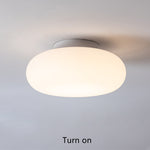 Friendly Pe Ceiling Pendant Lamp