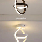 Creative Design Ceiling Lamp Indoor