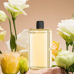 Aroma Oils