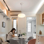 Friendly Pe Ceiling Pendant Lamp