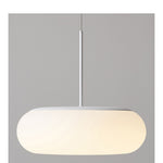 Friendly Pe Ceiling Pendant Lamp