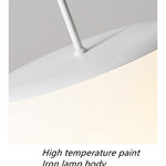 Friendly Pe Ceiling Pendant Lamp