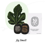 Smell Perfume Hanging