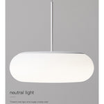 Friendly Pe Ceiling Pendant Lamp