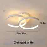 Creative Design Ceiling Lamp Indoor