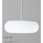 Friendly Pe Ceiling Pendant Lamp