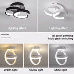 Creative Design Ceiling Lamp Indoor