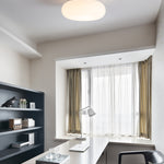 Friendly Pe Ceiling Pendant Lamp