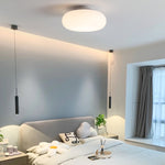 Friendly Pe Ceiling Pendant Lamp