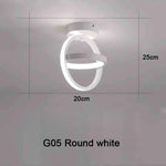 Creative Design Ceiling Lamp Indoor