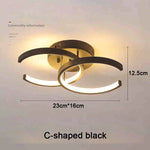 Creative Design Ceiling Lamp Indoor