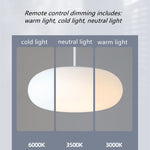 Friendly Pe Ceiling Pendant Lamp