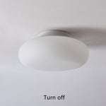 Friendly Pe Ceiling Pendant Lamp