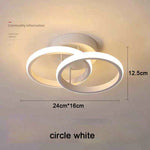 Creative Design Ceiling Lamp Indoor